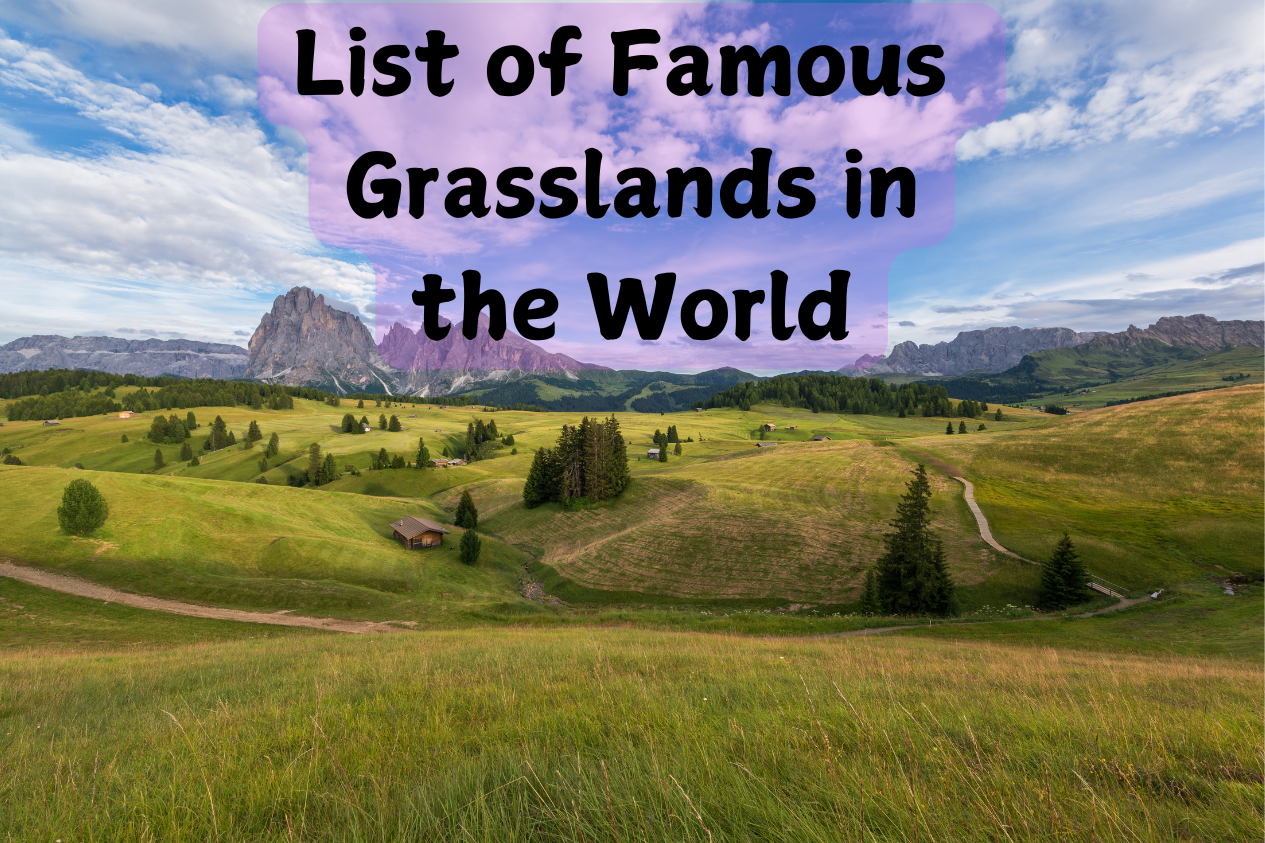 famous grasslands in the world